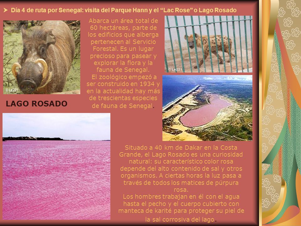  Día 4 de ruta por Senegal: visita del Parque Hann y el Lac Rose o Lago Rosado