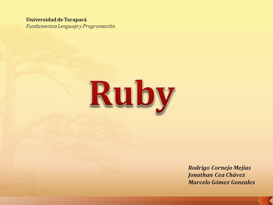 Ruby Rodrigo Cornejo Mejías Jonathan Cea Chávez Marcelo Gómez Gonzales