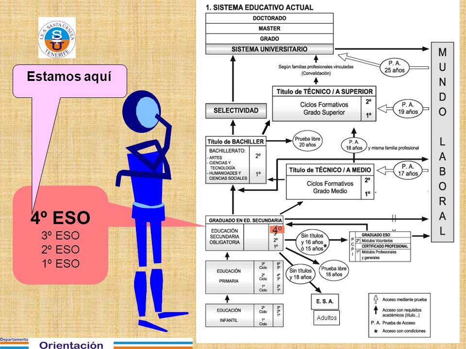 Estamos aquí 4º ESO 3º ESO 2º ESO 1º ESO 4º Adultos