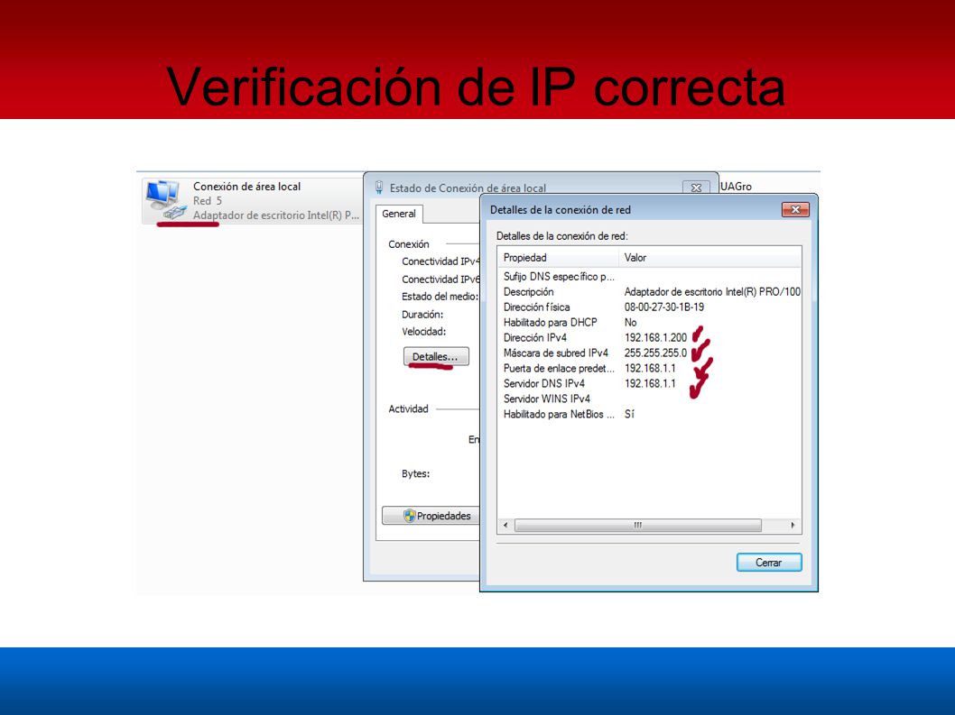 Verificación de IP correcta