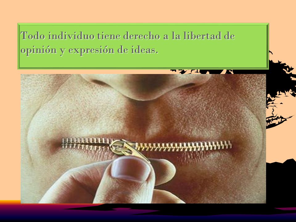 Todo individuo tiene derecho a la libertad de opinión y expresión de ideas.