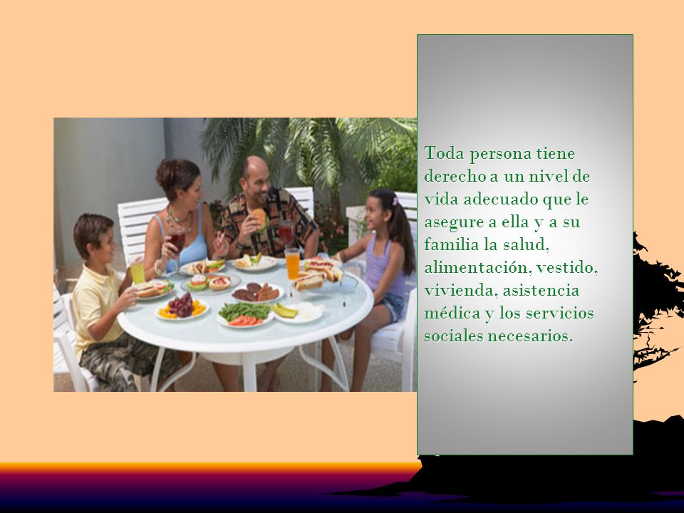 Toda persona tiene derecho a un nivel de vida adecuado que le asegure a ella y a su familia la salud, alimentación, vestido, vivienda, asistencia médica y los servicios sociales necesarios.