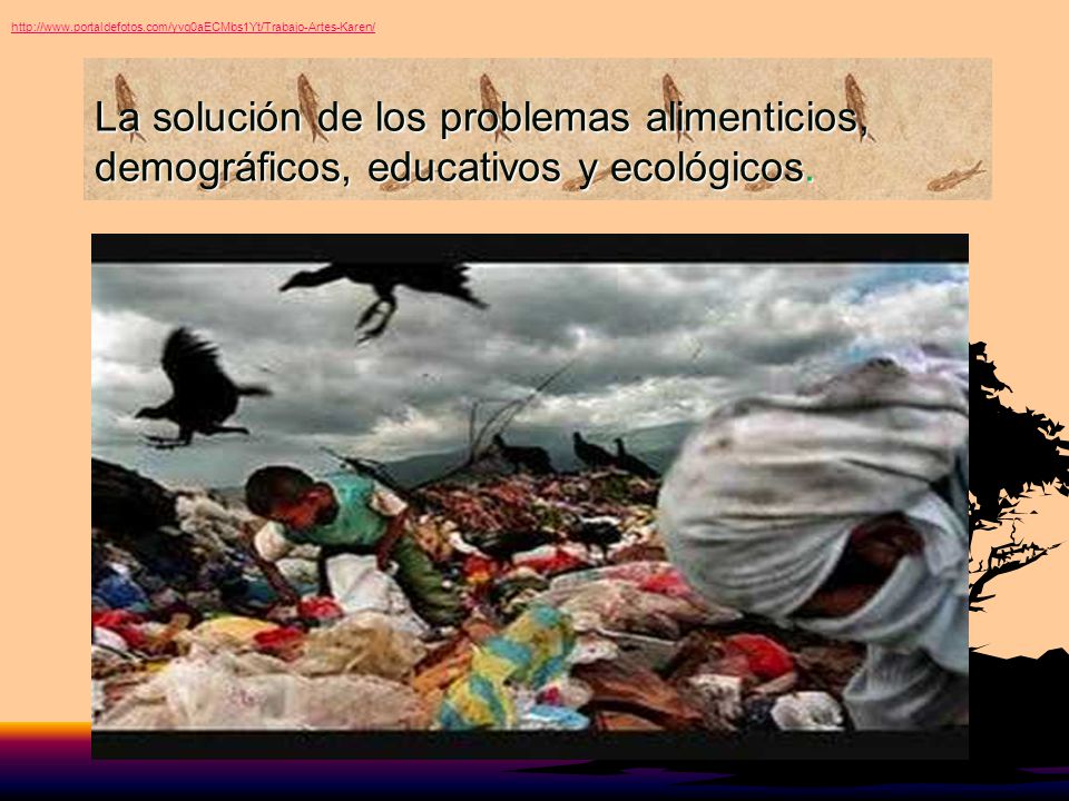 La solución de los problemas alimenticios, demográficos, educativos y ecológicos.