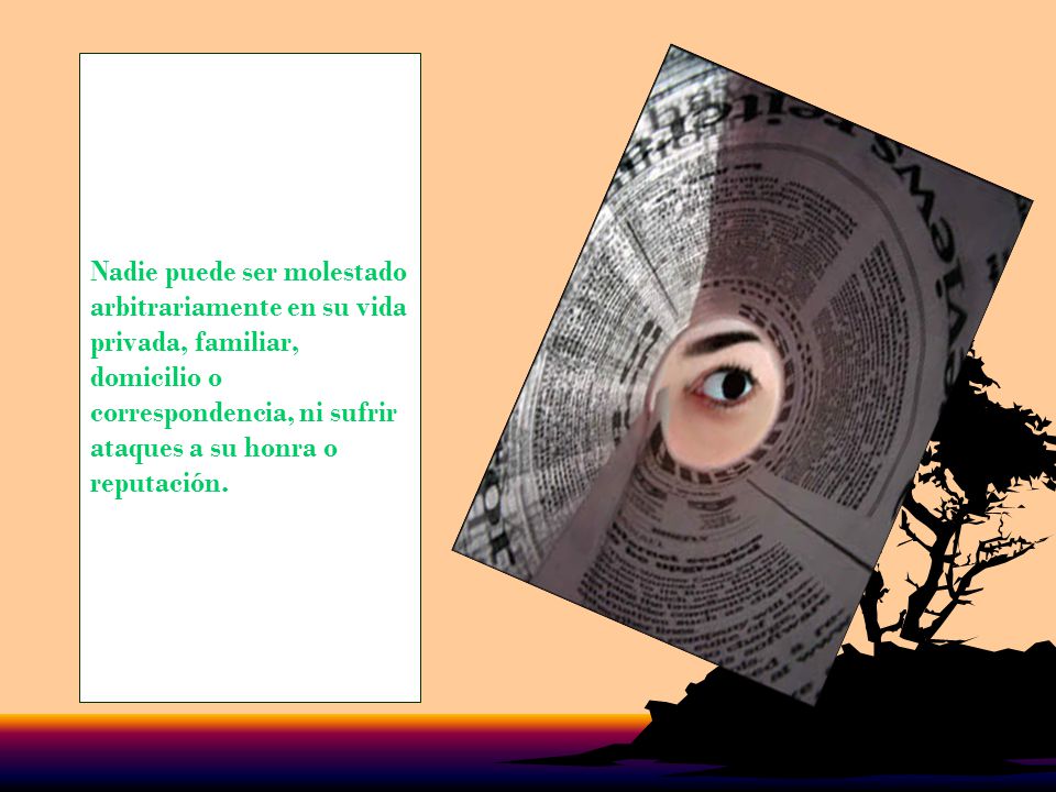 Nadie puede ser molestado arbitrariamente en su vida privada, familiar, domicilio o correspondencia, ni sufrir ataques a su honra o reputación.
