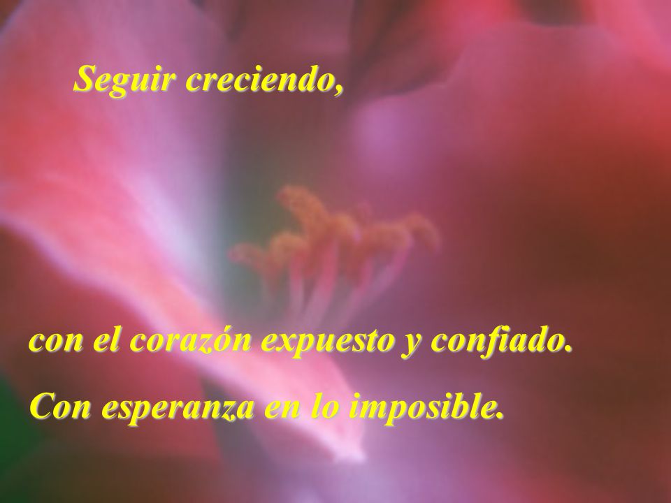 Seguir creciendo, con el corazón expuesto y confiado. Con esperanza en lo imposible.