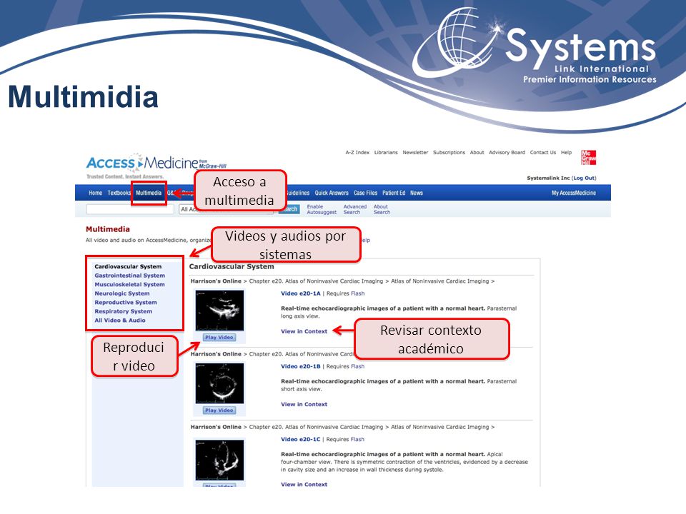 Multimidia Acceso a multimedia Videos y audios por sistemas