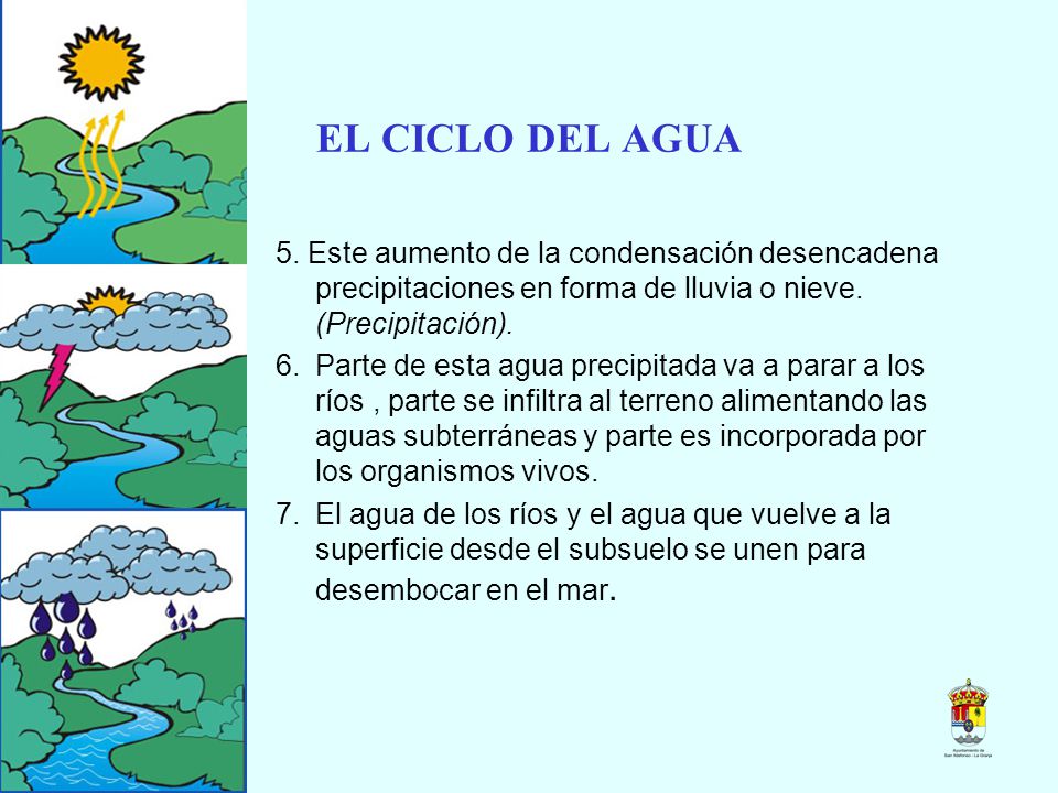 EL CICLO DEL AGUA 5. Este aumento de la condensación desencadena precipitaciones en forma de lluvia o nieve. (Precipitación).