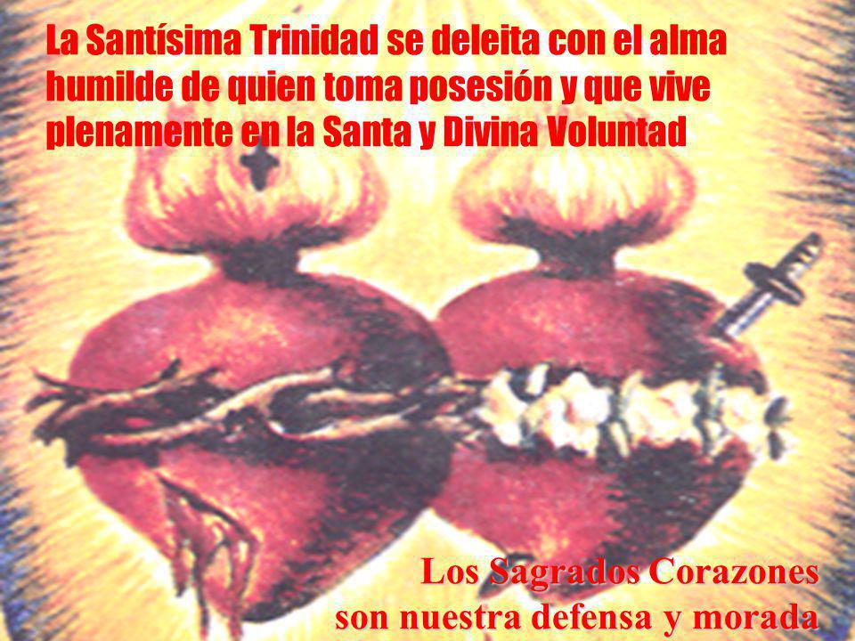 La Santísima Trinidad se deleita con el alma humilde de quien toma posesión y que vive plenamente en la Santa y Divina Voluntad