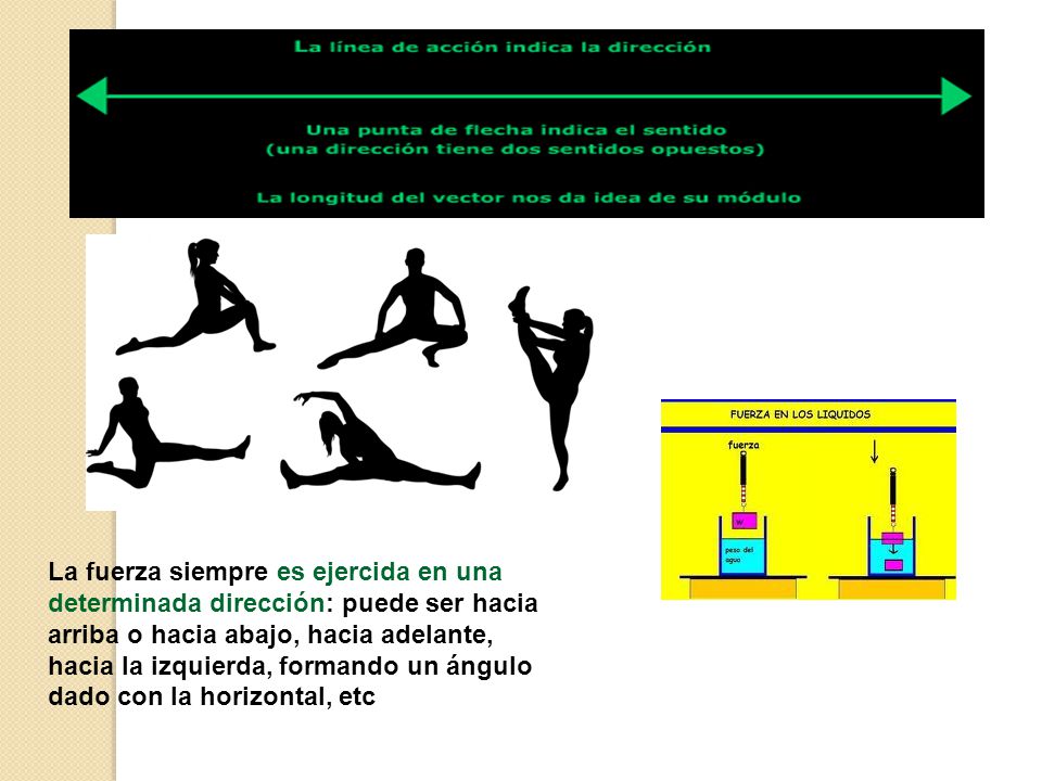 La fuerza siempre es ejercida en una determinada dirección: puede ser hacia arriba o hacia abajo, hacia adelante, hacia la izquierda, formando un ángulo dado con la horizontal, etc