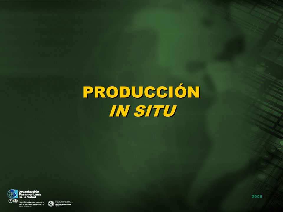 PRODUCCIÓN IN SITU