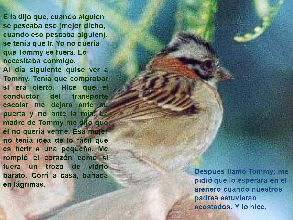 Ella dijo que, cuando alguien se pescaba eso (mejor dicho, cuando eso pescaba alguien), se tenía que ir. Yo no quería que Tommy se fuera. Lo necesitaba conmigo.