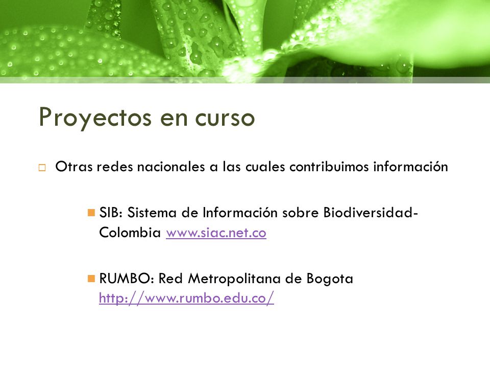 Proyectos en curso Otras redes nacionales a las cuales contribuimos información.