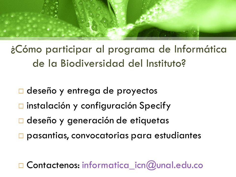 ¿Cómo participar al programa de Informática de la Biodiversidad del Instituto
