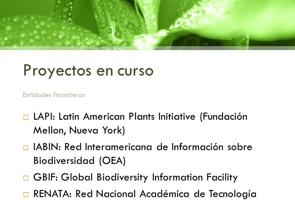 Proyectos en curso Entidades financieras. LAPI: Latin American Plants Initiative (Fundación Mellon, Nueva York)