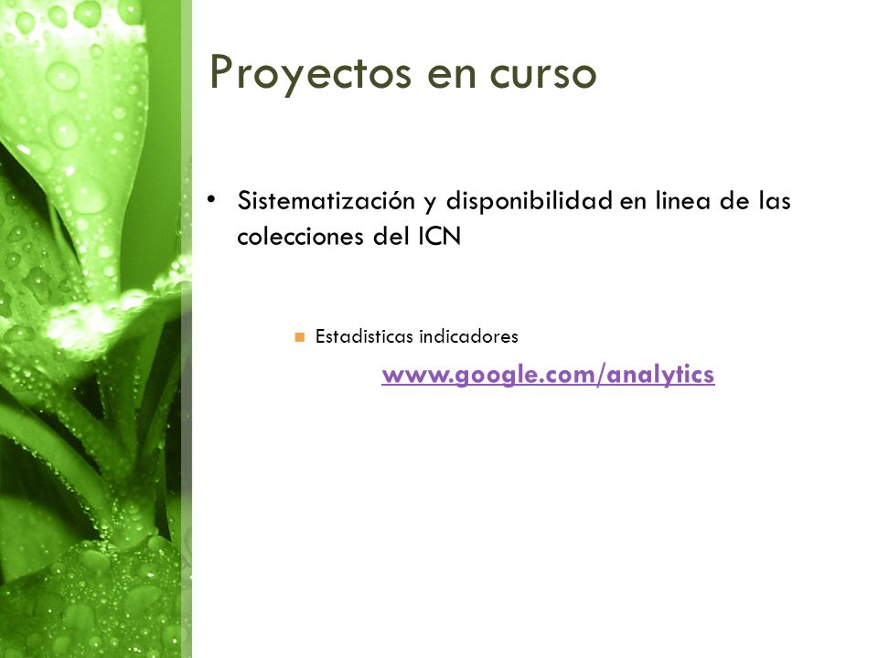 Proyectos en curso Sistematización y disponibilidad en linea de las colecciones del ICN. Estadisticas indicadores.