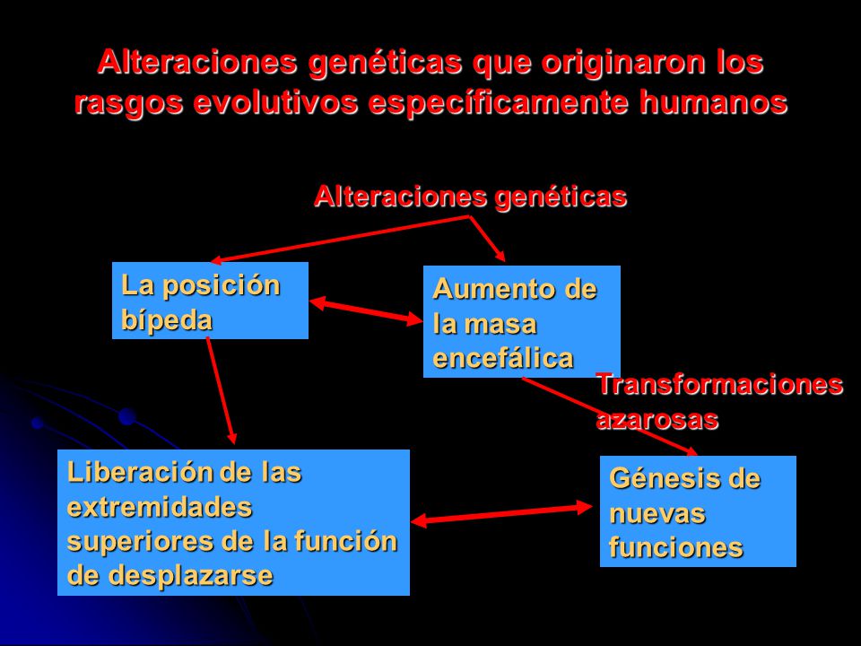 Alteraciones genéticas que originaron los rasgos evolutivos específicamente humanos