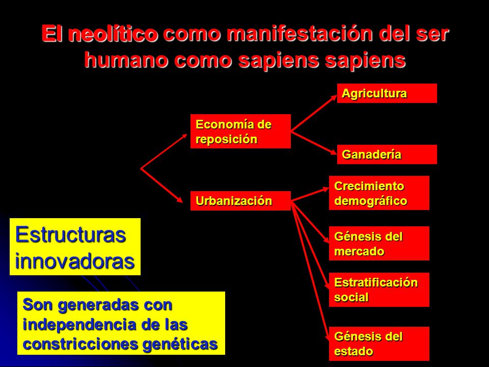 El neolítico como manifestación del ser humano como sapiens sapiens