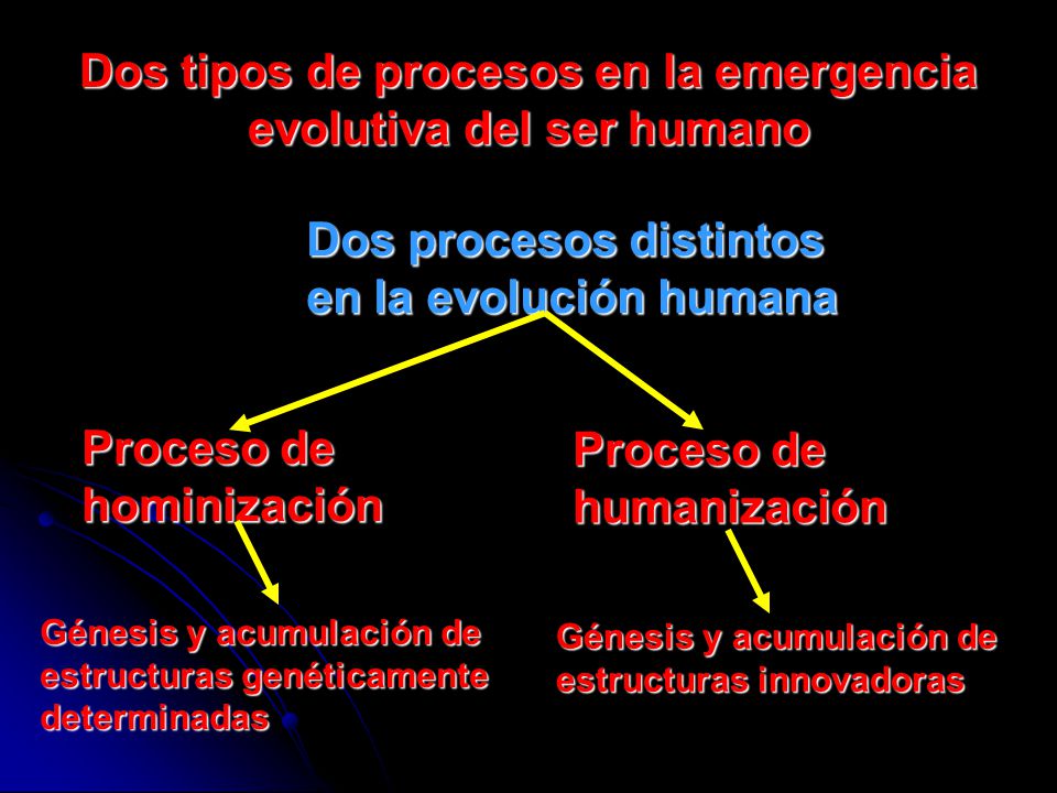 Dos tipos de procesos en la emergencia evolutiva del ser humano