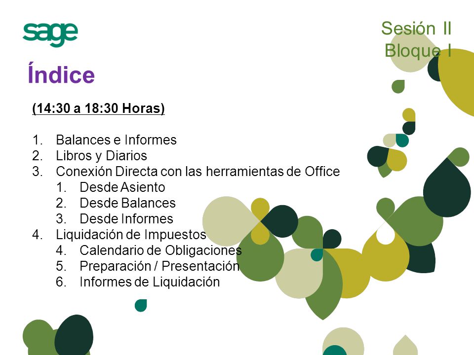 Sesión II Bloque I Cuentas de Mayor Soporte Magnético Libros y Diarios