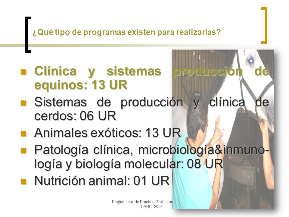 ¿Qué tipo de programas existen para realizarlas