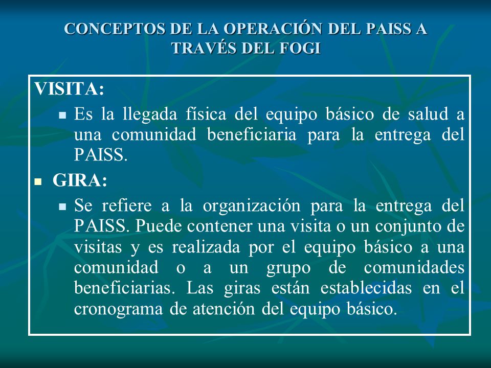 CONCEPTOS DE LA OPERACIÓN DEL PAISS A TRAVÉS DEL FOGI