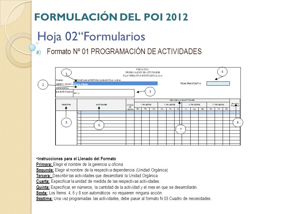 Hoja 02 Formularios Formato Nº 01 PROGRAMACIÓN DE ACTIVIDADES