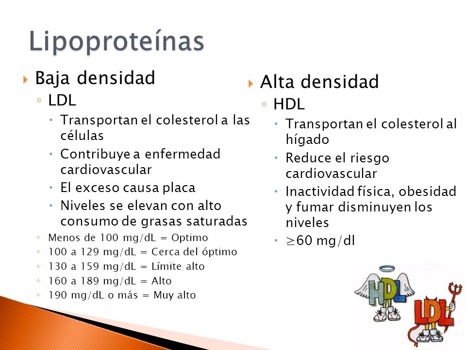 Lipoproteínas Baja densidad Alta densidad LDL HDL