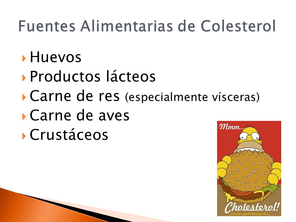 Fuentes Alimentarias de Colesterol