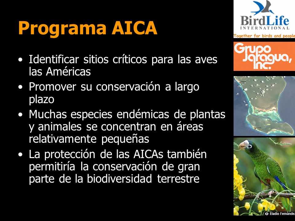Programa AICA Identificar sitios críticos para las aves las Américas