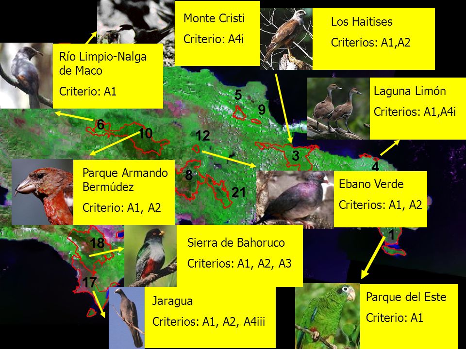 Monte Cristi Criterio: A4i. Los Haitises. Criterios: A1,A2. Río Limpio-Nalga de Maco. Criterio: A1.