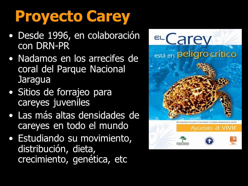 Proyecto Carey Desde 1996, en colaboración con DRN-PR