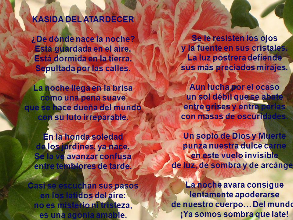 KASIDA DEL ATARDECER KASIDA DEL ATARDECER ¿De dónde nace la noche
