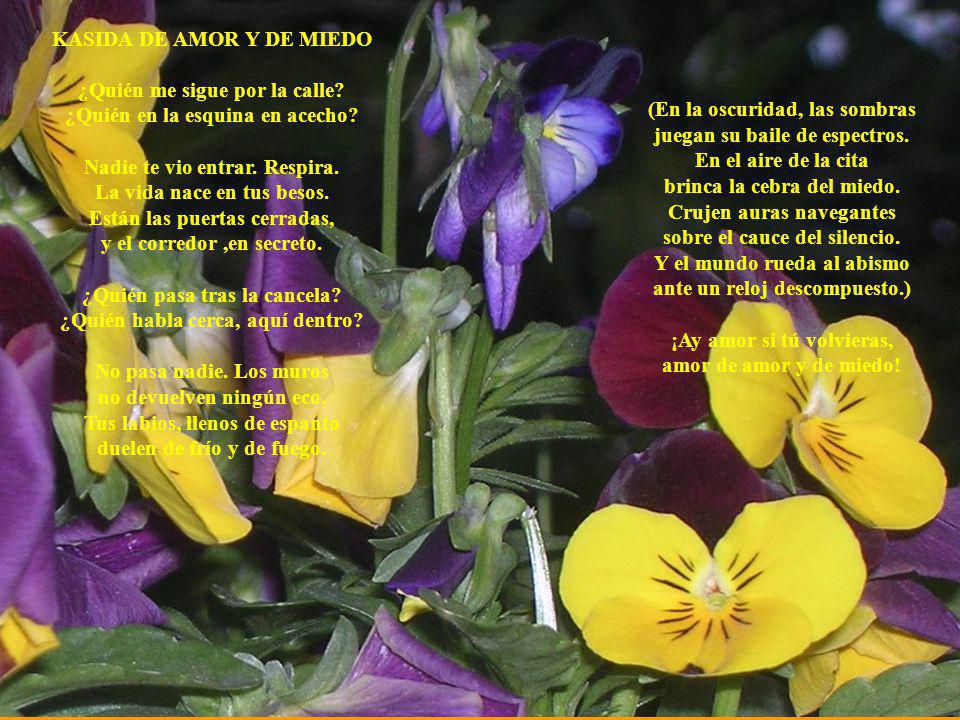 KASIDA DE AMOR Y DE MIEDO ¿Quién me sigue por la calle