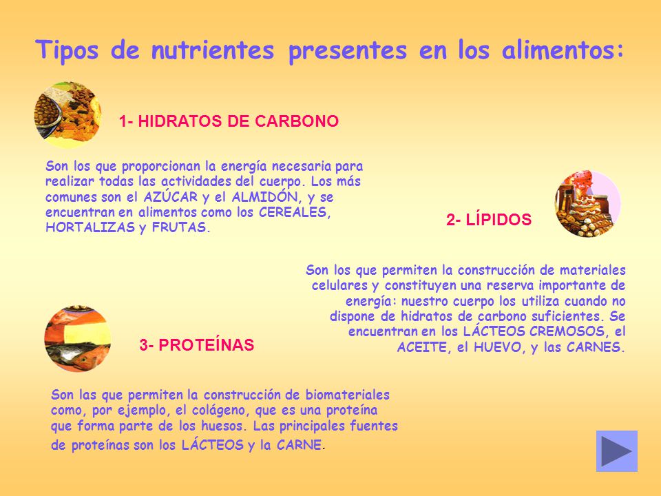 Tipos de nutrientes presentes en los alimentos: