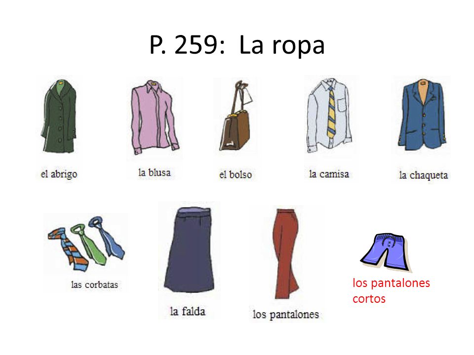 P. 259: La ropa los pantalones cortos
