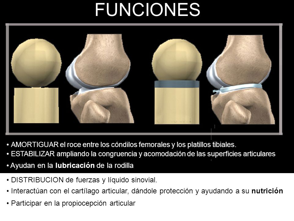 FUNCIONES AMORTIGUAR el roce entre los cóndilos femorales y los platillos tibiales.