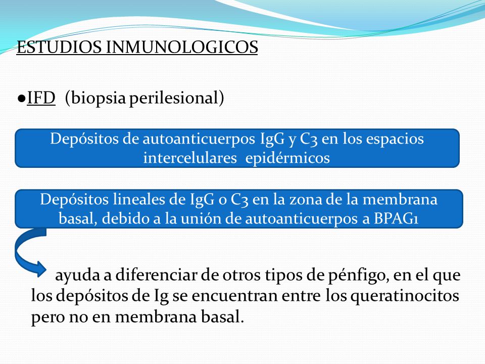 ESTUDIOS INMUNOLOGICOS ●IFD (biopsia perilesional) ayuda a diferenciar de otros tipos de pénfigo, en el que los depósitos de Ig se encuentran entre los queratinocitos pero no en membrana basal.