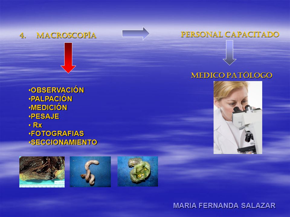 4. MACROSCOPÍA PERSONAL CAPACITADO. MEDICO PATÓLOGO. OBSERVACIÓN. PALPACIÓN. MEDICIÓN. PESAJE.
