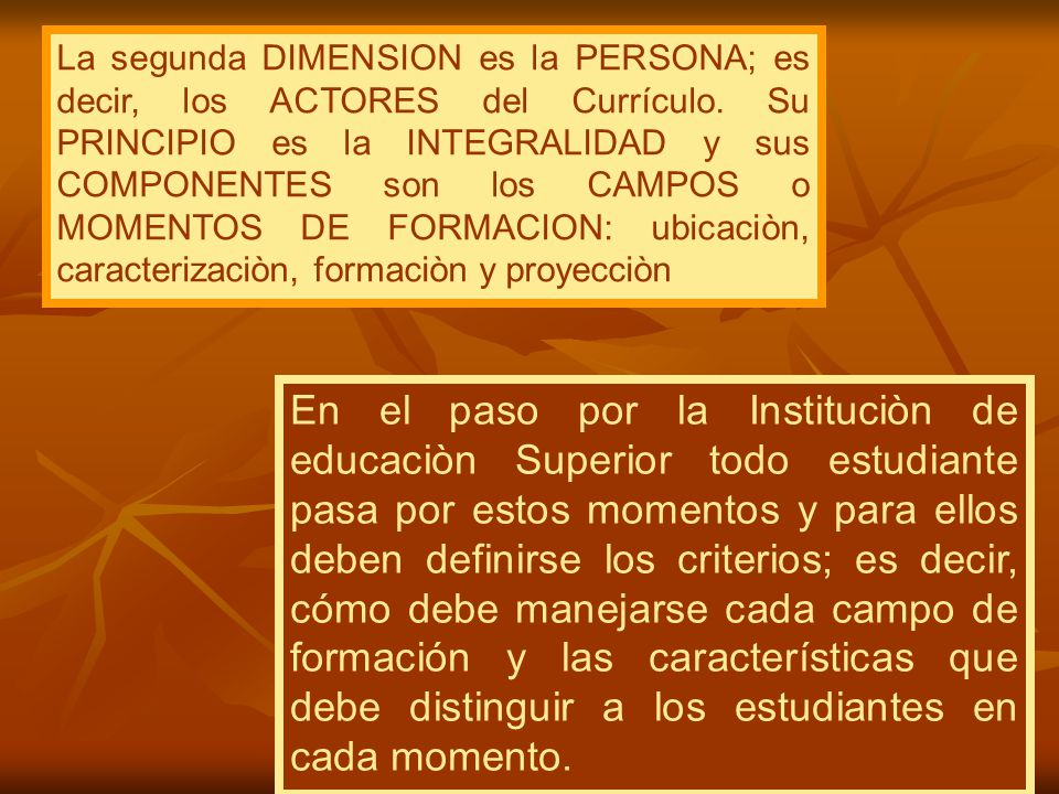 La segunda DIMENSION es la PERSONA; es decir, los ACTORES del Currículo. Su PRINCIPIO es la INTEGRALIDAD y sus COMPONENTES son los CAMPOS o MOMENTOS DE FORMACION: ubicaciòn, caracterizaciòn, formaciòn y proyecciòn .