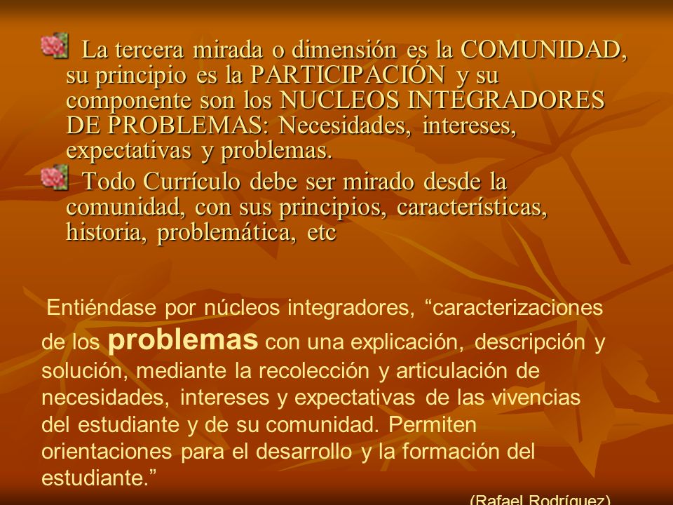 La tercera mirada o dimensión es la COMUNIDAD, su principio es la PARTICIPACIÓN y su componente son los NUCLEOS INTEGRADORES DE PROBLEMAS: Necesidades, intereses, expectativas y problemas.