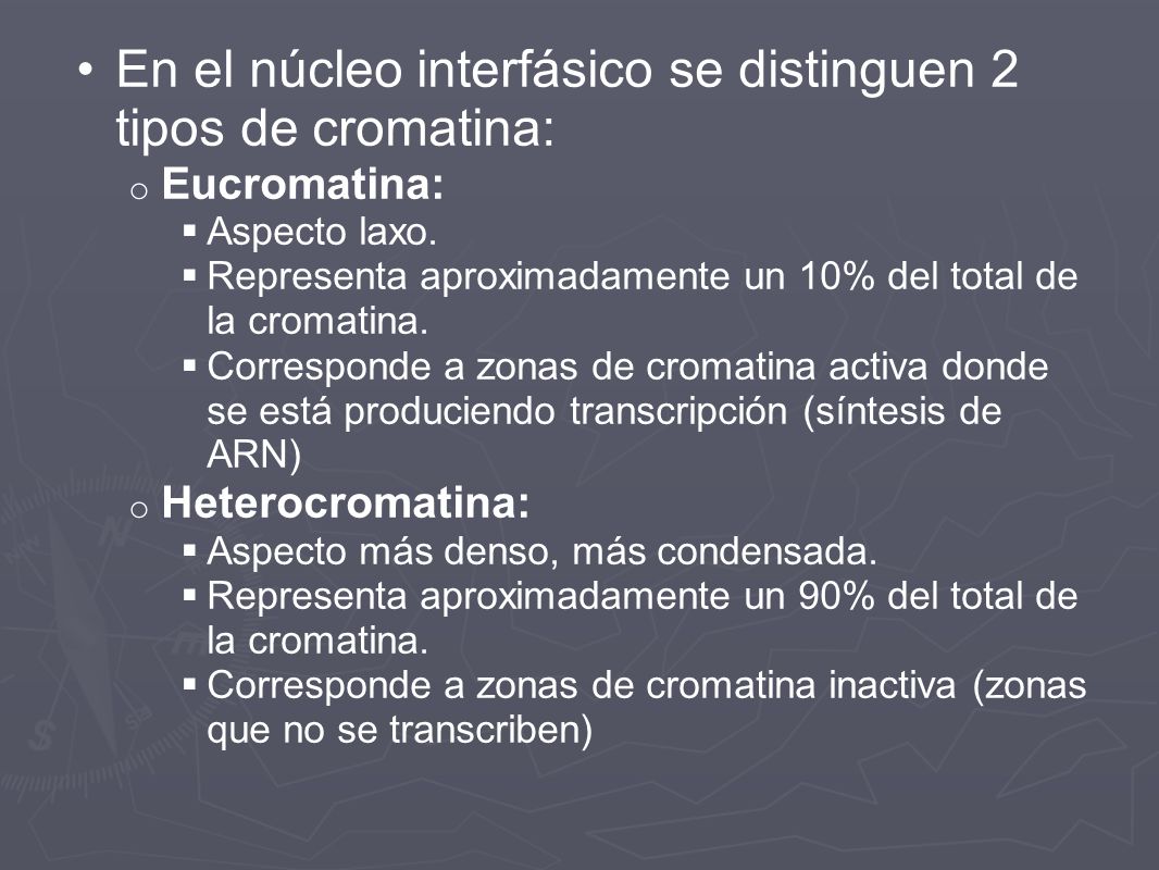 En el núcleo interfásico se distinguen 2 tipos de cromatina:
