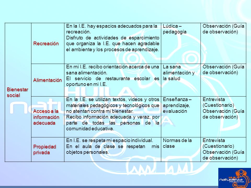 Bienestar social Recreación. En la I.E. hay espacios adecuados para la recreación.