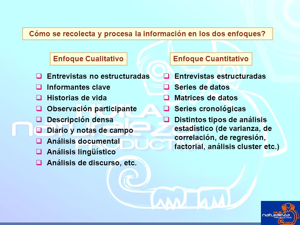 Cómo se recolecta y procesa la información en los dos enfoques