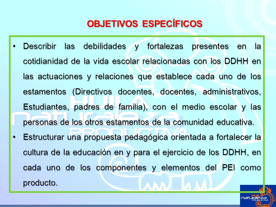 OBJETIVOS ESPECÍFICOS