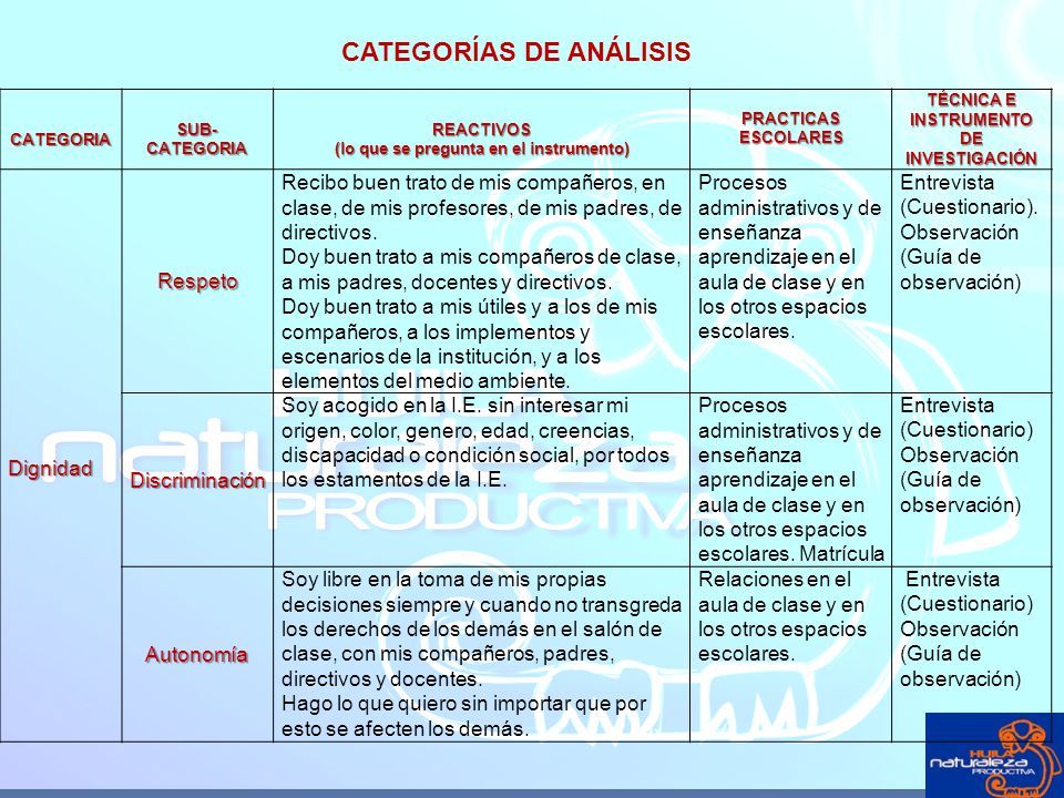 CATEGORÍAS DE ANÁLISIS