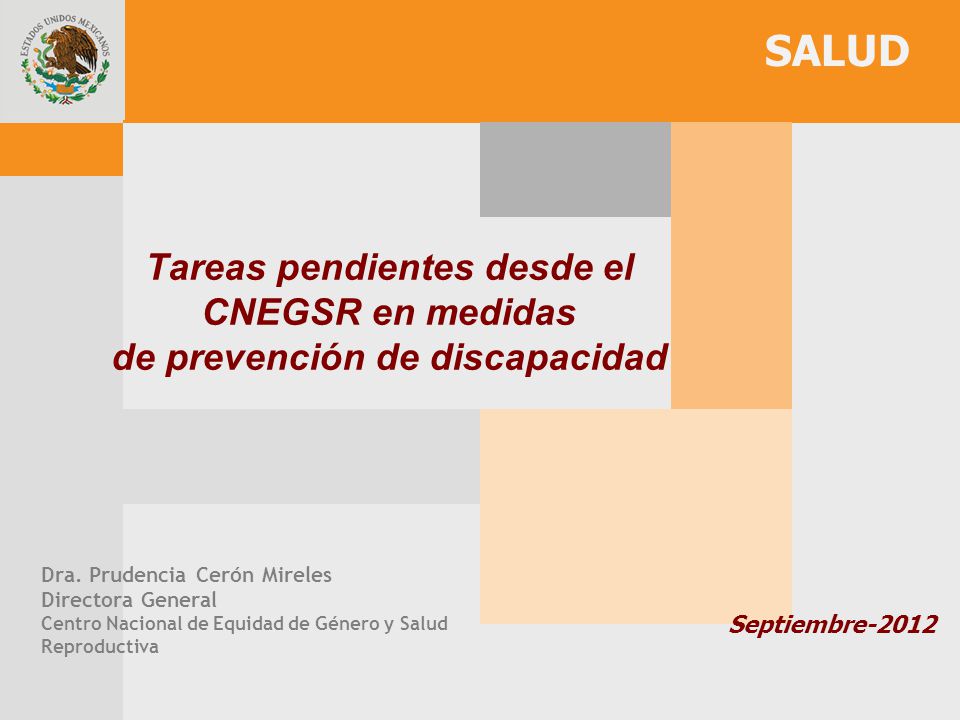 SALUD Tareas pendientes desde el CNEGSR en medidas de prevención de discapacidad. Dra. Prudencia Cerón Mireles.