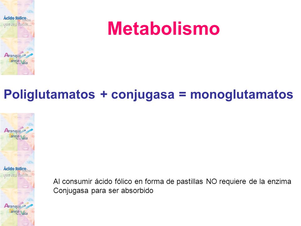Poliglutamatos + conjugasa = monoglutamatos