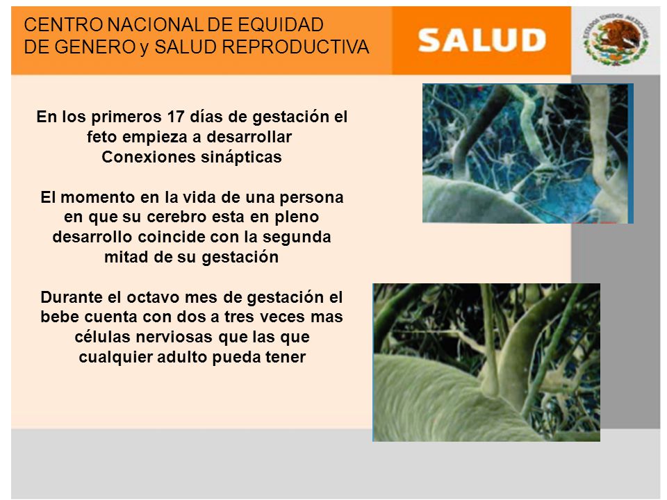 CENTRO NACIONAL DE EQUIDAD DE GENERO y SALUD REPRODUCTIVA