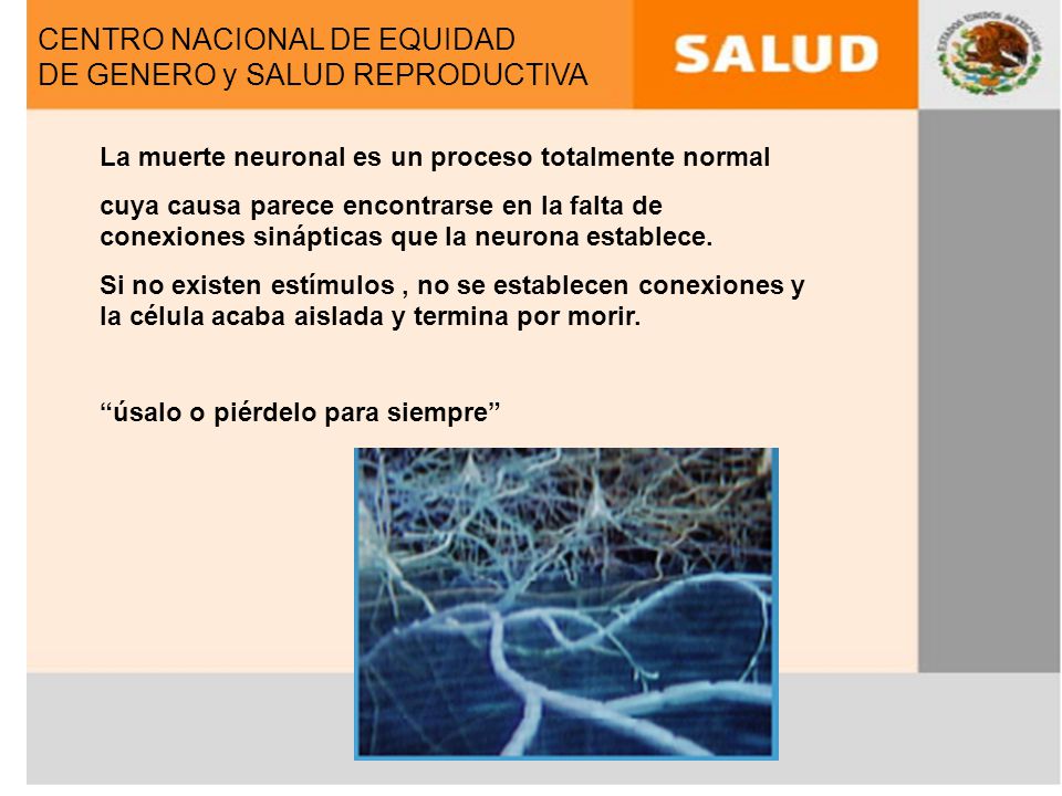 CENTRO NACIONAL DE EQUIDAD DE GENERO y SALUD REPRODUCTIVA