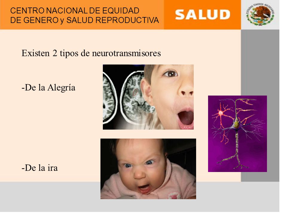 Existen 2 tipos de neurotransmisores